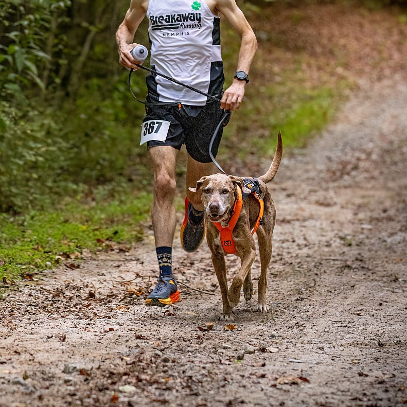 Run for Your&nbsp;Life!